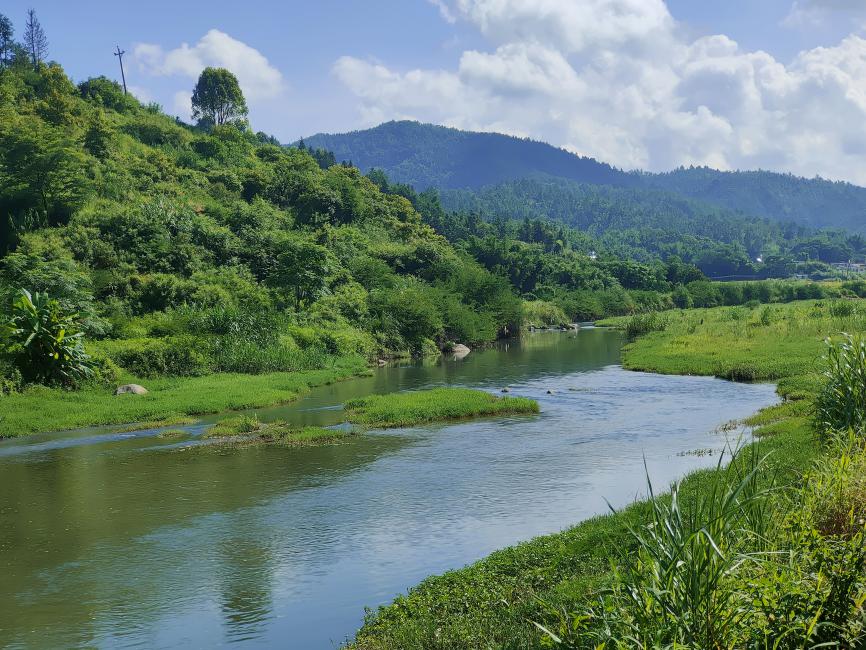 梅龙村河道